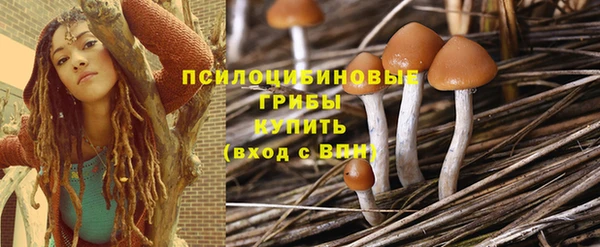 мдпв Нефтекумск