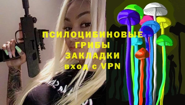 ГАЛЛЮЦИНОГЕННЫЕ ГРИБЫ Абдулино