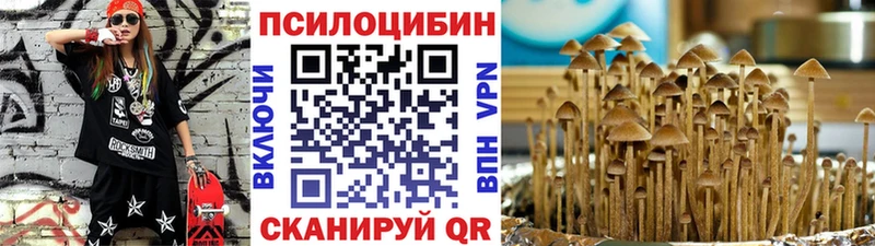Псилоцибиновые грибы Magic Shrooms  цены   Холмск 