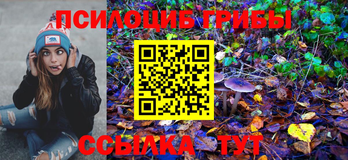 Холмск  Псилоцибиновые грибы мицелий  Вход с VPN  где можно купить наркотик  Галлюциногенные грибы мицелий 